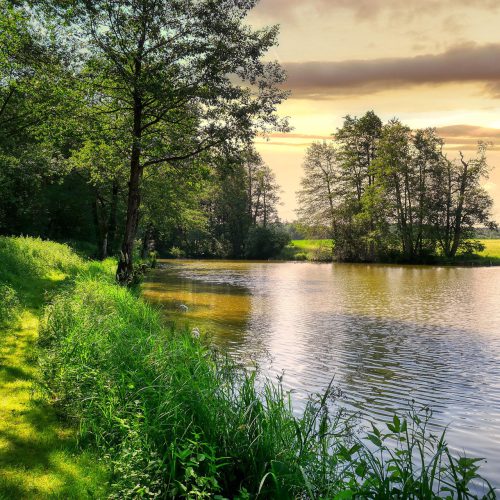 Karpfenweiher-02_Pixabay_fietzfotos