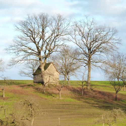 Landschaftlicher-Eindruck