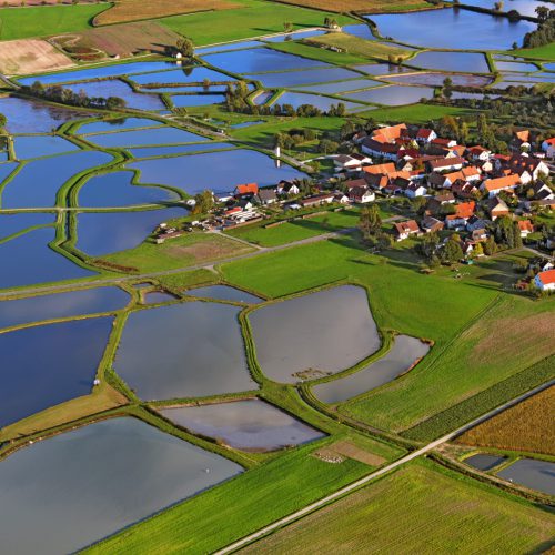 Schraegluftbild_Aischgruender-Karpfenlandschaft (Groß)